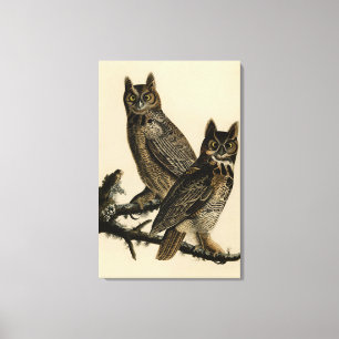 Great Horned Owl from Audubon's Birds of America Canvas Afdruk