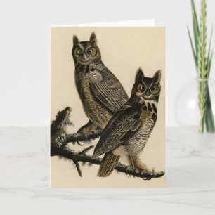 Great Horned Owl from Audubon's Birds of America Kaart