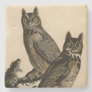 Great Horned Owl from Audubon's Birds of America Stenen Onderzetter