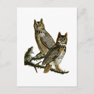 Great Horned Owl John Audubon Birds of America Briefkaart