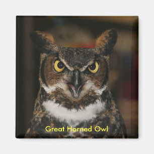 Great Horned Owl Magnet Magneet