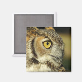 Great Horned Owl Magnet Magneet (Voorkant / Achterkant)