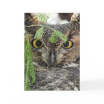 Great Horned Owl Notecard