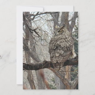 Great Horned Owl - nummer 3 Feestdagenkaart