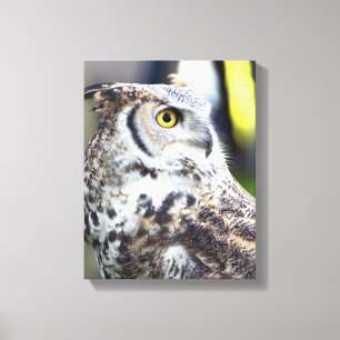 Great Horned Owl Profile Canvas Afdruk