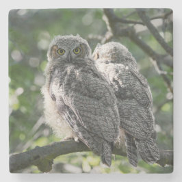 Great Horned Owl Siblings Stone Onderzetter