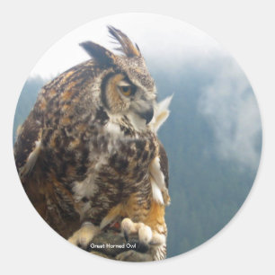 Great Horned Owl Sticker