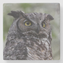 Great Horned Owl Stone Onderzetter