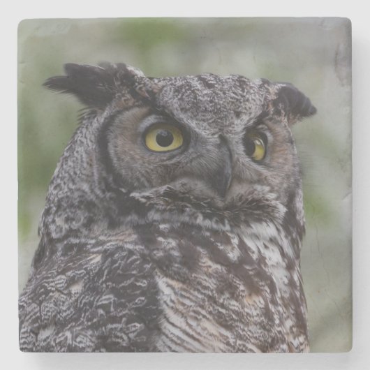 Great Horned Owl Stone Onderzetter (Voorkant)