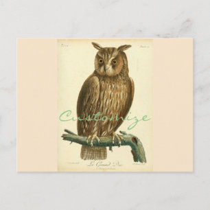 Great Horned Owl Thunder_Cove Briefkaart