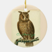 Great Horned Owl Thunder_Cove Keramisch Ornament (Achterkant)