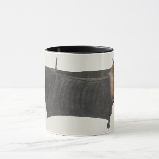 Great Indian Fruit Bat, c.1777-82 Mok (Midden)