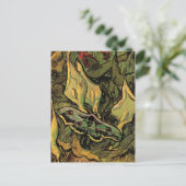 Great Peacock Moth door Vincent van Gogh Briefkaart (Staand voorkant)