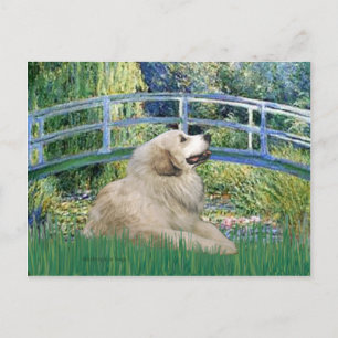 Great Pyrenees 2 - Brug Briefkaart