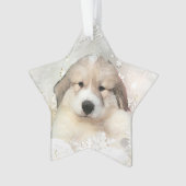 Great Pyrenees Aquarelle Puppet Holiday (devant)