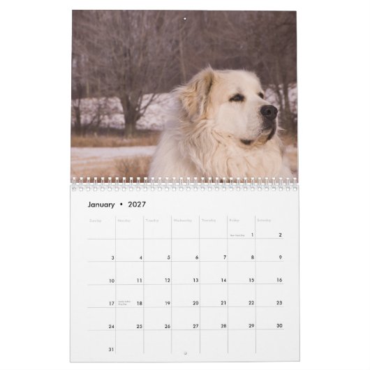 Great Pyrenees Calendar Kalender (Jan 2027)