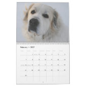 Great Pyrenees Calendar Kalender (Feb 2027)