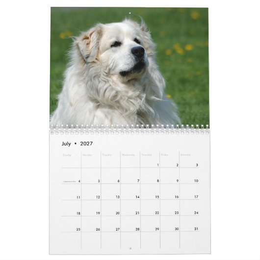 Great Pyrenees Calendar Kalender (Jul 2027)