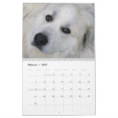 Great Pyrenees Calendar Kalender (Feb 2027)