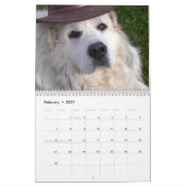 Great Pyrenees Calendar Kalender (Feb 2027)