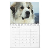 Great Pyrenees Calendar Kalender (Jan 2027)