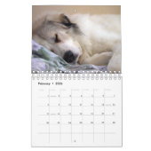 Great Pyrenees Calendar Kalender (Feb 2026)