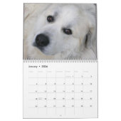 Great Pyrenees Calendar Kalender (Jan 2026)