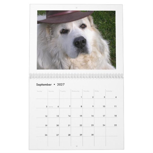 Great Pyrenees Calendar Kalender (Sep 2027)