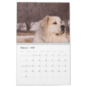 Great Pyrenees Calendar Kalender (Feb 2027)