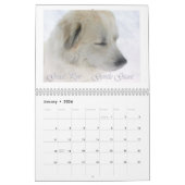 Great Pyrenees Calendar Kalender (Jan 2026)