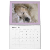 Great Pyrenees Calendar Kalender (Feb 2027)