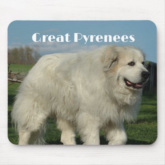 Great Pyrenees Muismat (Voorkant)