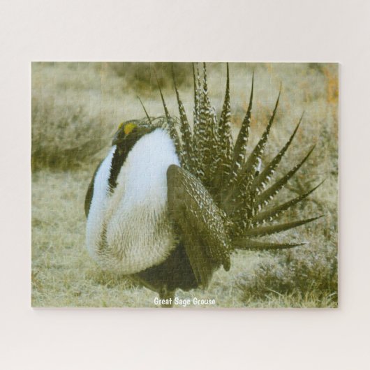 Great Sage Grouse Jigzaag Puzzle Legpuzzel (Horizontaal)
