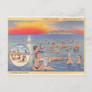 Great Salt Lake Utah grappige vintage Briefkaart