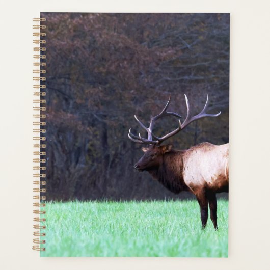 Great Smoky Mountain Elk 2026 Planner (Devant)
