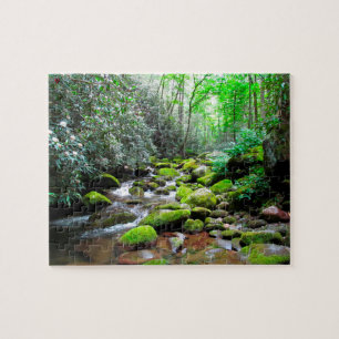 Great Smoky Mountain Tennessee Legpuzzel