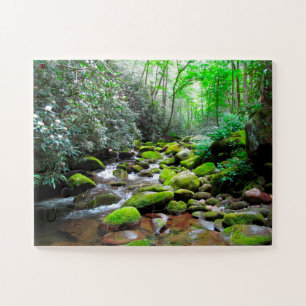 Great Smoky Mountain Tennessee Legpuzzel