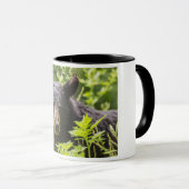Great Smoky Mountains Black Bear Mug (Devant droit)