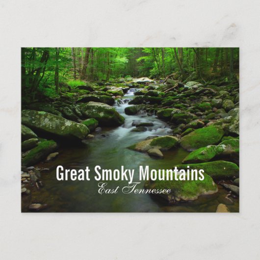 Great Smoky Mountains, briefkaart (Voorkant)