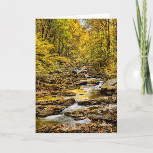 Great Smoky Mountains National Park. Big Creek Kaart