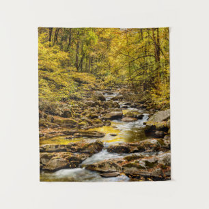 Great Smoky Mountains National Park. Big Creek Wandkleed