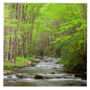 Great Smoky Mountains National Park North Carolina Tegeltje