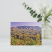 Great Smoky Mountains NP, Tennessee, VS Briefkaart (Staand voorkant)