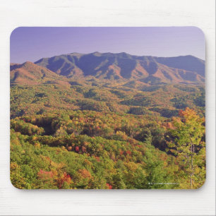 Great Smoky Mountains NP, Tennessee, VS Muismat