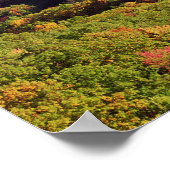 Great Smoky Mountains NP, Tennessee, VS Poster (Hoek)