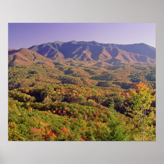 Great Smoky Mountains NP, Tennessee, VS Poster (Voorkant)