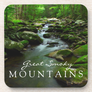 Great Smoky Mountains Stream Watefall Tremont Bier Onderzetter