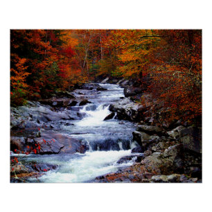 Great Smoky National Park Perfect Poster