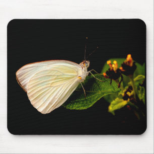 Great Southern White op groene bladeren Muismat