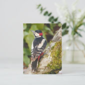Great Spotted Woodpecker Briefkaart (Staand voorkant)